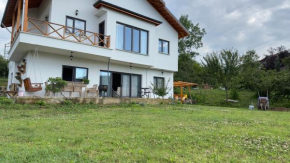 Zeytin Dalı Villa